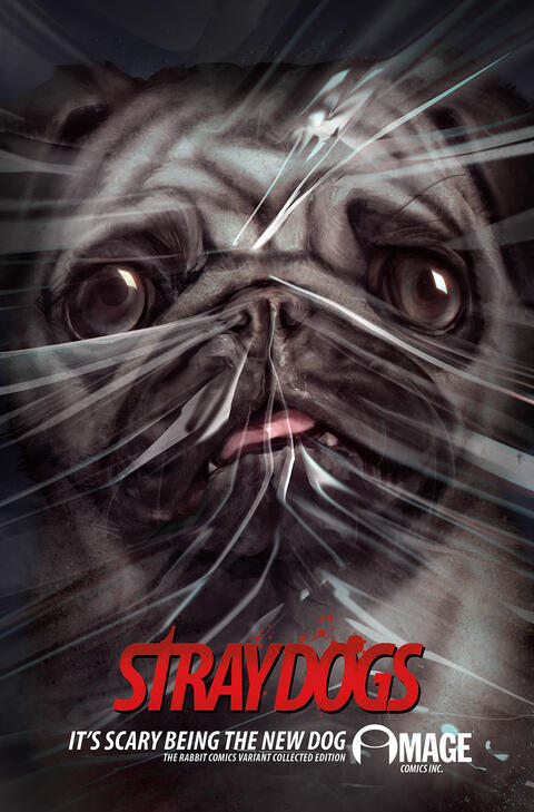 Stray Dogs