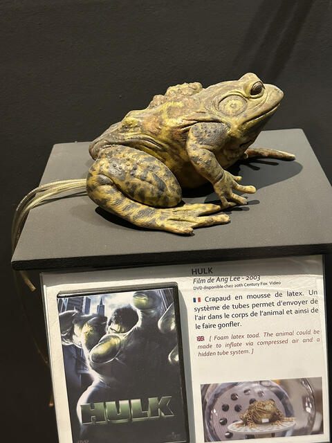 Lyon