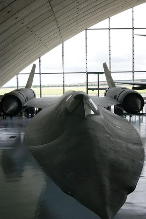 Blackbird