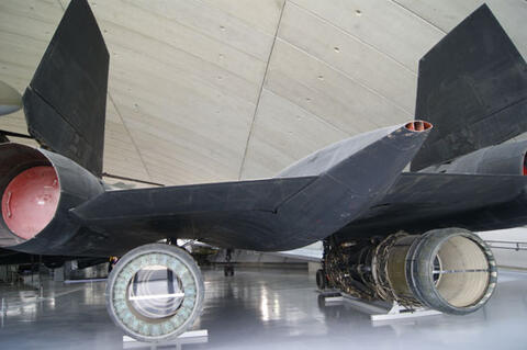 Blackbird