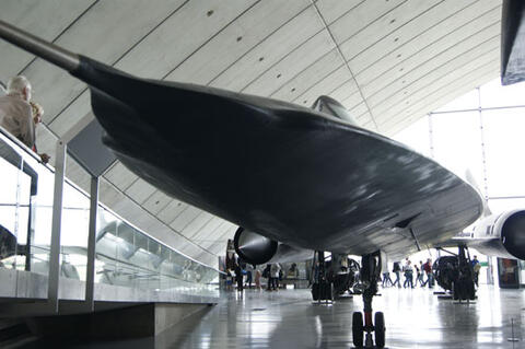 Blackbird