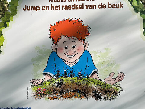 Jan Bosschaert