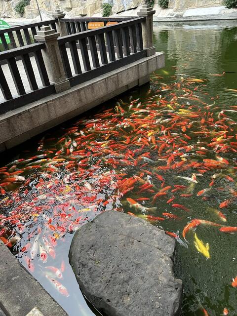 Chongqing