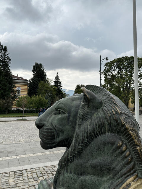 Sofia