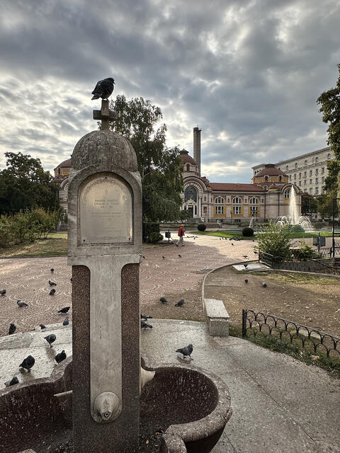 Sofia