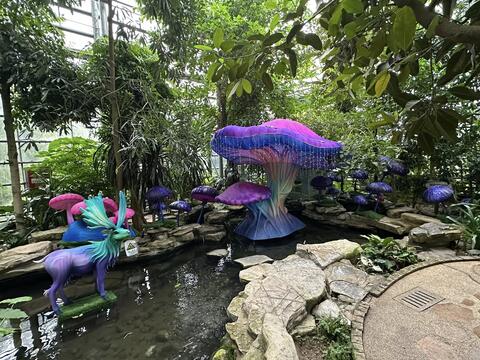 Chongqing