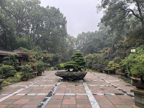 Chongqing