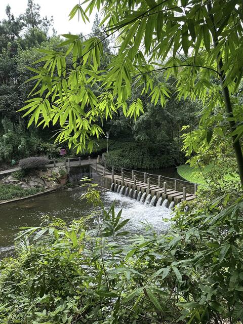 Chongqing