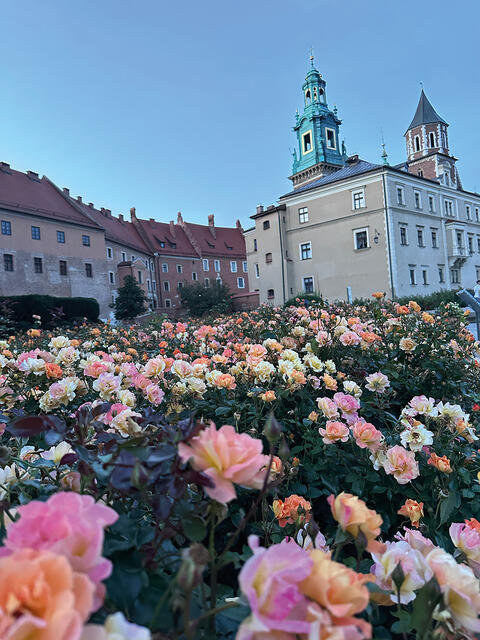 Krakau