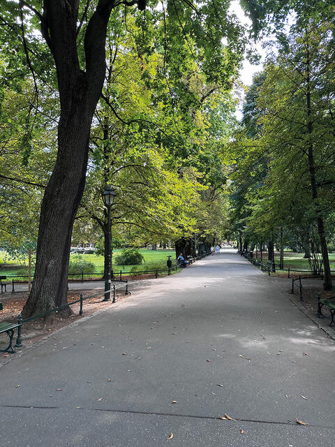Krakau