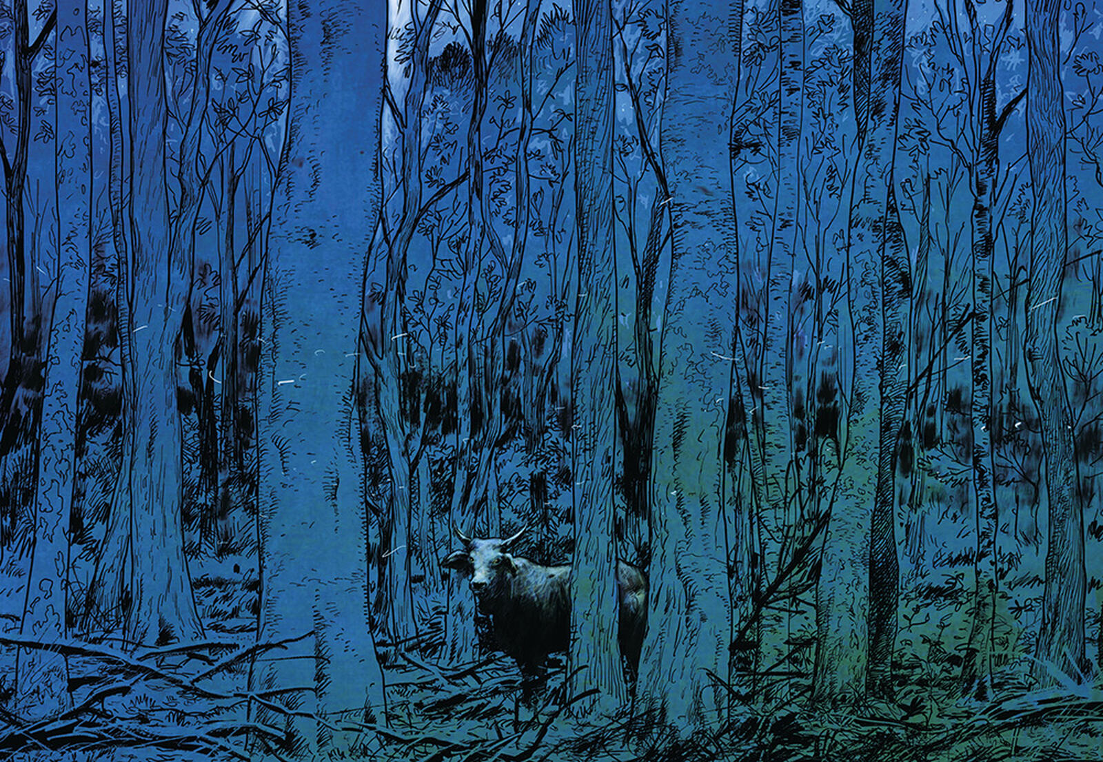 Het Verborgen Leven van Bomen | Pas verschenen | Stripspeciaalzaak