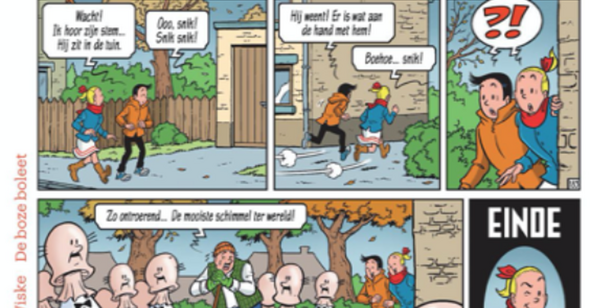 Suske en Wiske en de Kiekeboes verdwijnen uit Vlaamse kranten