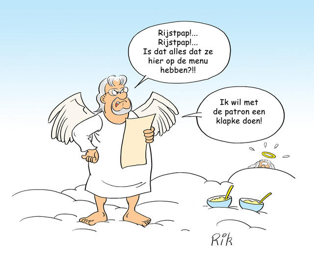 Rik De Wulf
