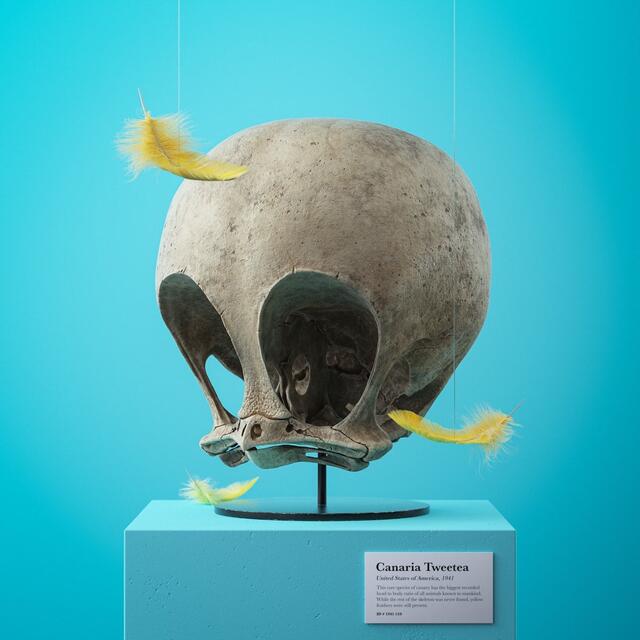 Tweety