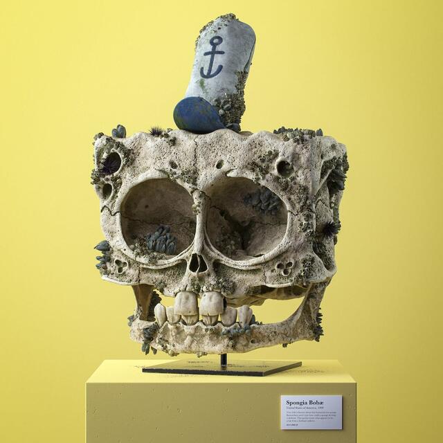 SpongeBob Squarepants
