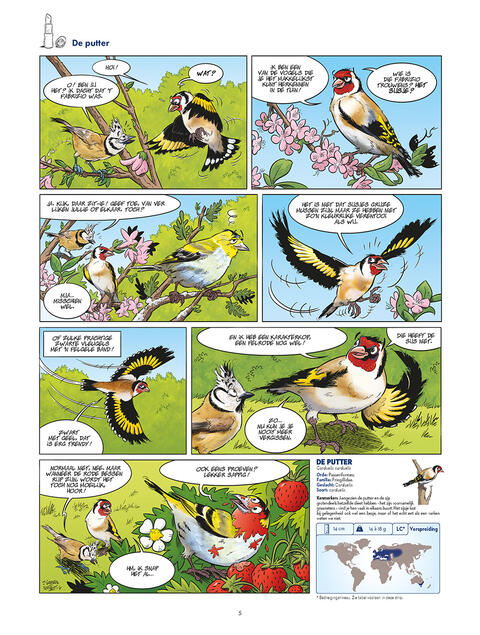 Vreemde Vogels 3