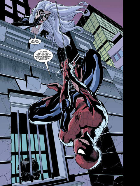 Spider-Man / Black Cat 2