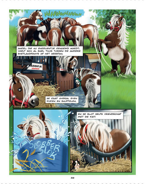 De Droompony