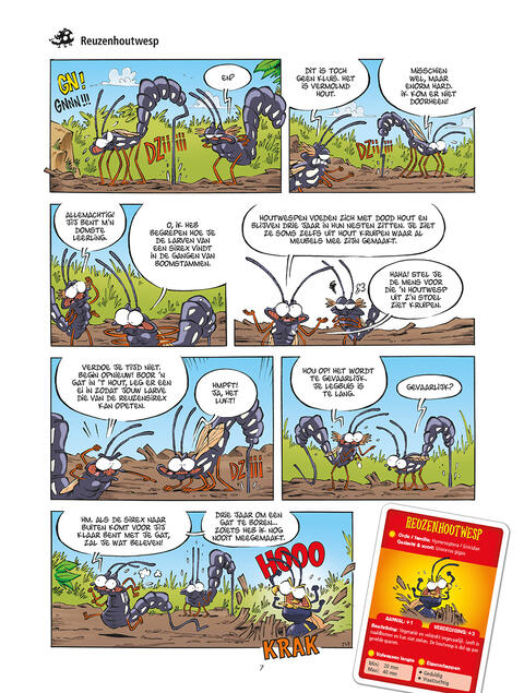Insecten 7