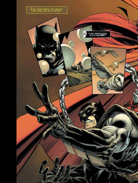 Batman / Spawn