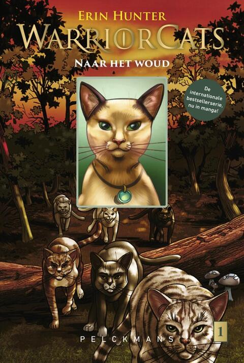 Warrior Cats 4