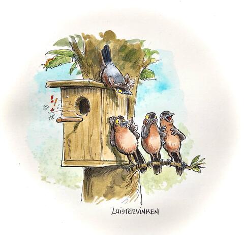 Vreemde Vogels