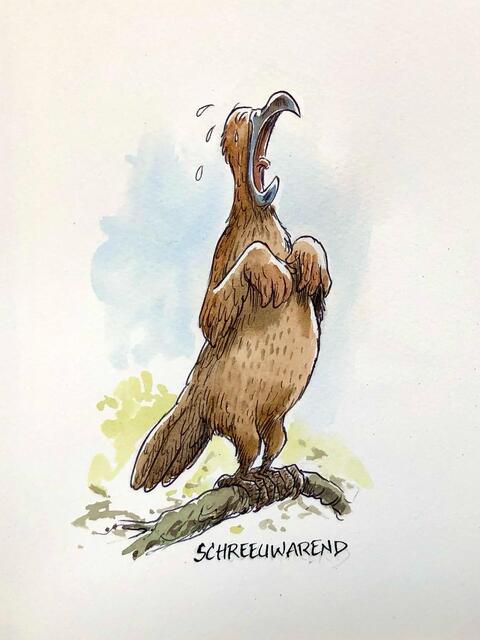 Vreemde Vogels