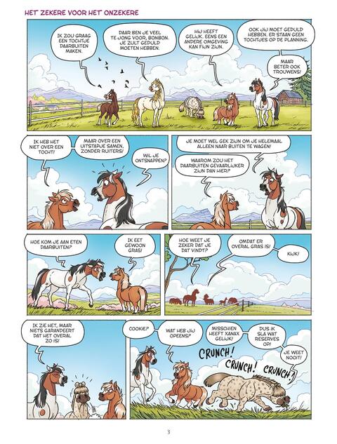 Te Paard! 11