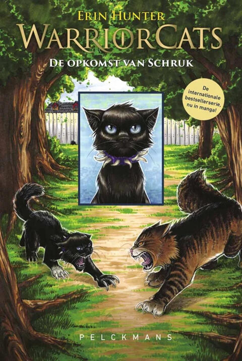Warrior Cats 7