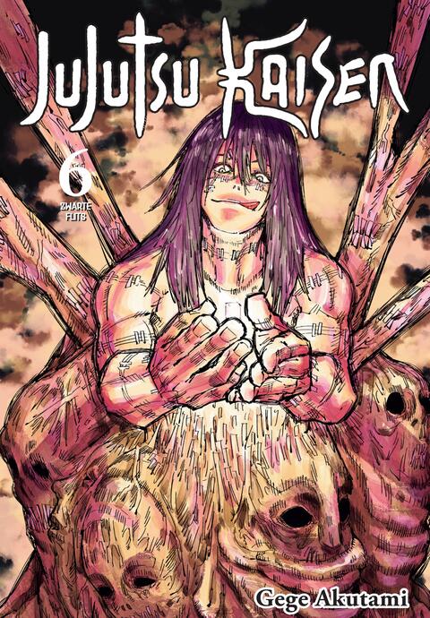 Jujutsu Kaisen 6