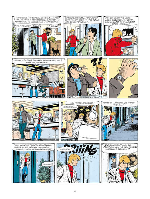 Rik Ringers: De Latere Jaren boek 15