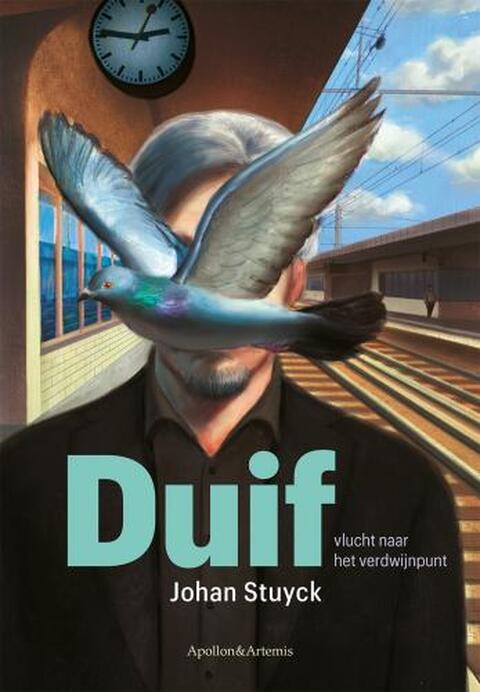 Duif