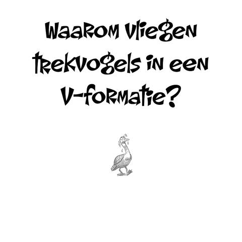 Zeropedia 2