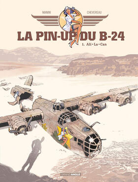 De Pin-Up van de B-24 1