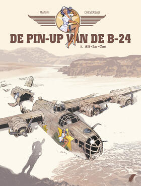De Pin-Up van de B-24 1
